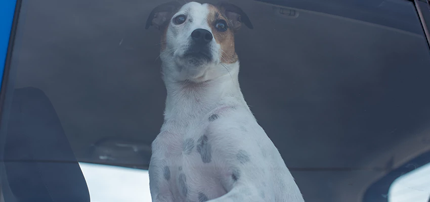 Car Lockout Solutions in Porterville, California